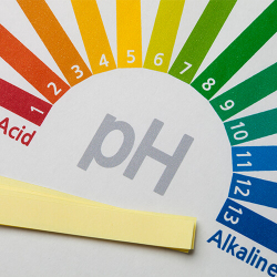 pH